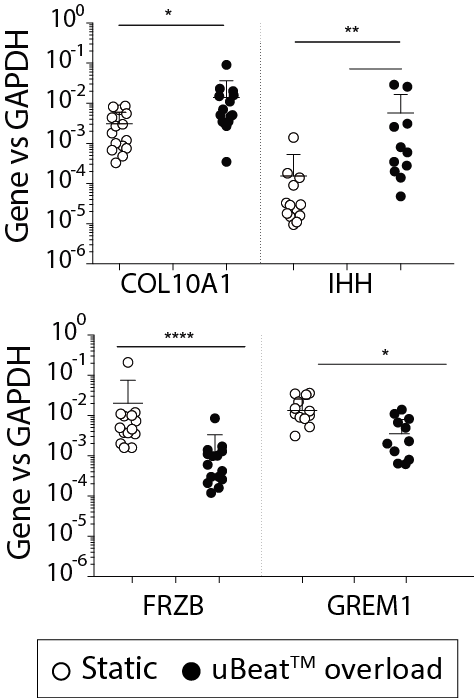 Osteoarthritis data BiomimX