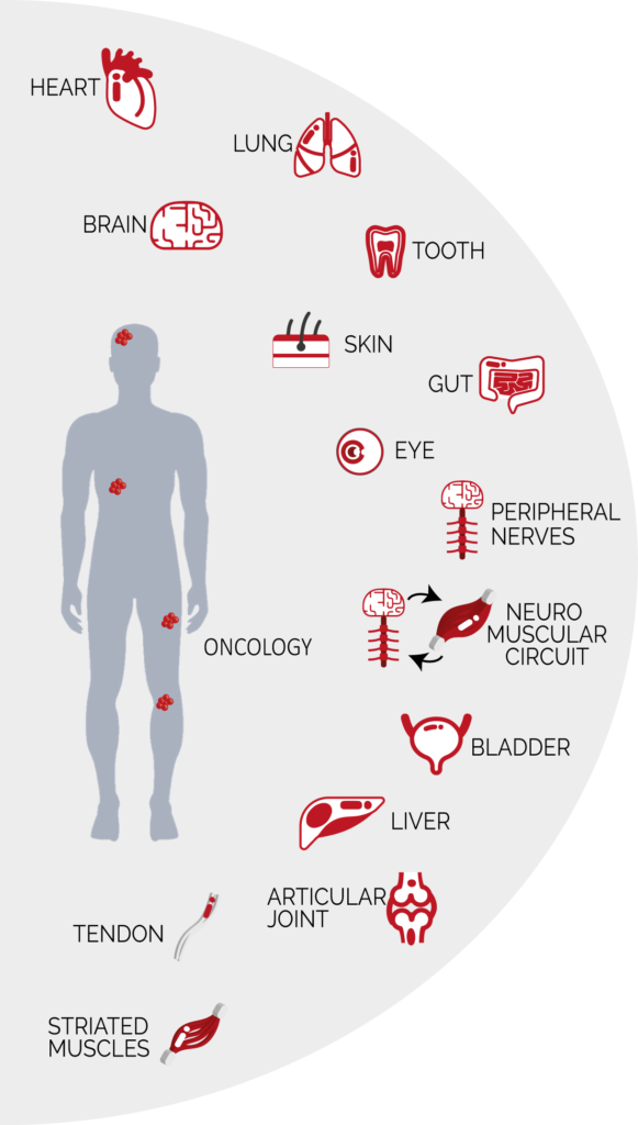 Organs_website_weel