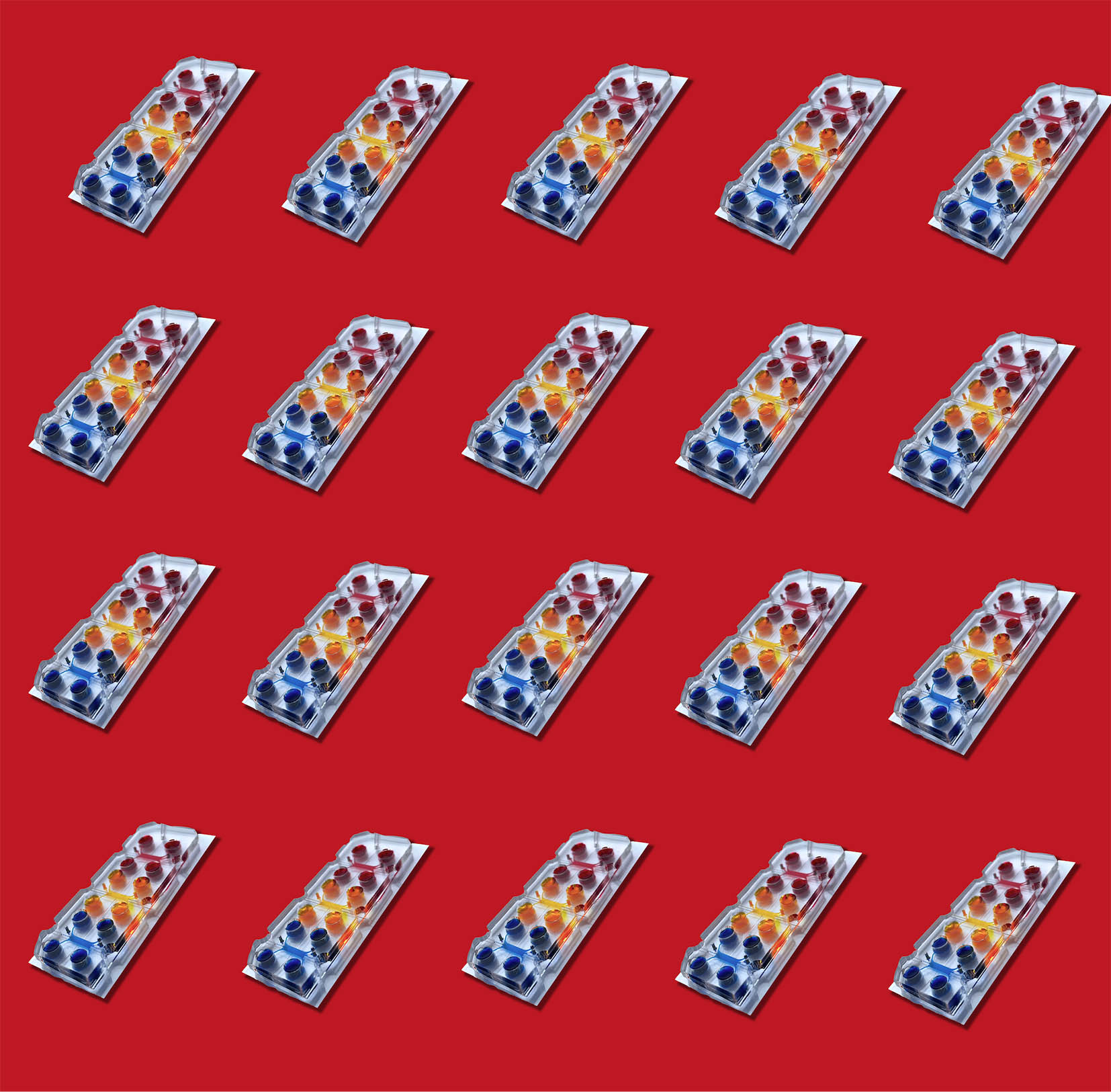 BiomimX Chip