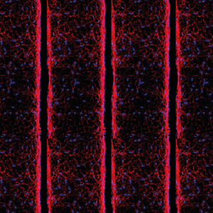 uScar_webpage_cover